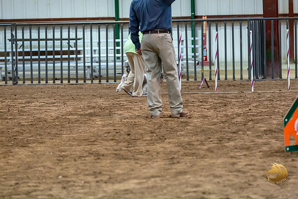 Agility JWW Nov Regional DalilaJJJ_4806-PBGVKrvlTX2019-HR3