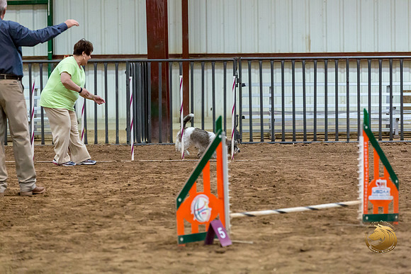 Agility JWW Nov Regional DalilaJJJ_4808-PBGVKrvlTX2019-HR3