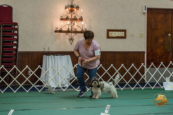 Rally Int #92 Vickie Willman Reg Judge Nancy SimmonsJJJ_8615-PBGVKrvlTX2019-HR3