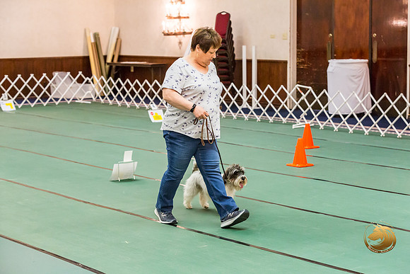 Rally Thurs Int #92 Vickie Williman Judge Nancy SimmonsJJJ_0010-PBGVKrvlTX2019-HR3
