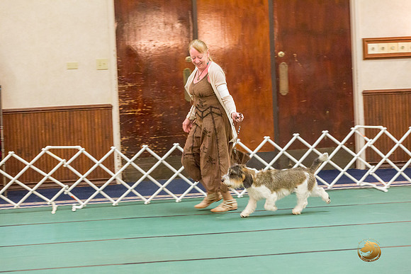 AOH Dog SatJJJ_5114-PBGVKrvlTX2019-HR3