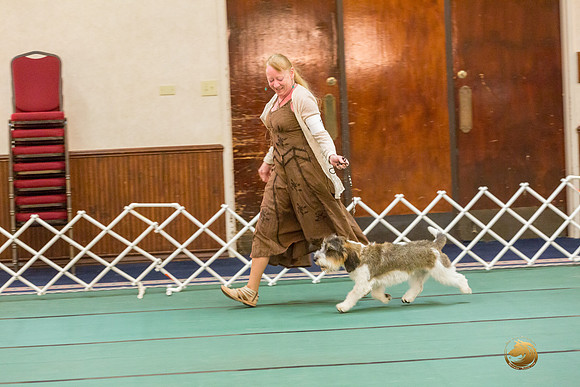 AOH Dog SatJJJ_5115-PBGVKrvlTX2019-HR3