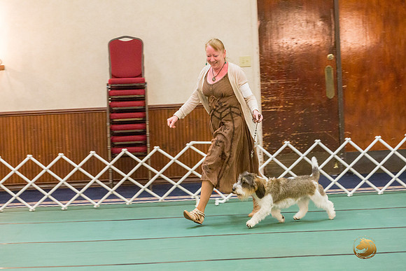 AOH Dog SatJJJ_5117-PBGVKrvlTX2019-HR3