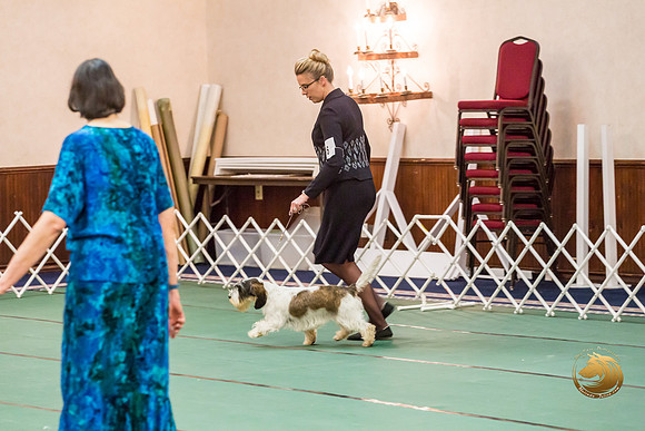 Best Puppy Thurs RingsJJJ_2893-PBGVKrvlTX2019-HR3