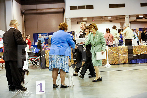 _JJ_2248-HstnJul2014-HR3