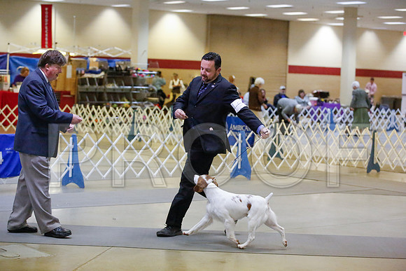 _JN_9351-AmarilloSept2014-HR3
