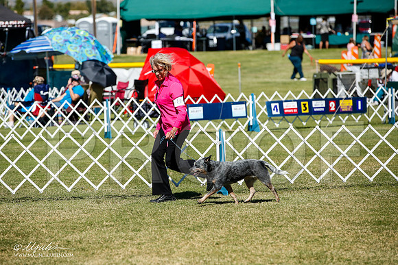 _JJ_1259-AlamogordoOct2014-HR3