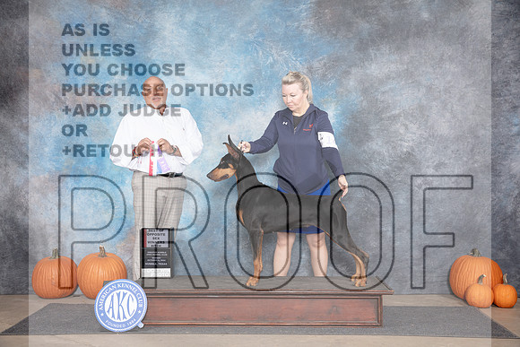 Doberman Pinscher #14 WBBOS Judge Hal Biermann__JP_9229e_Humble2024-HR3