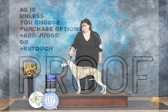 Whippet #10 Sat BOW Judge Donald Gill__JP_9801_Abilene_2024_HR3