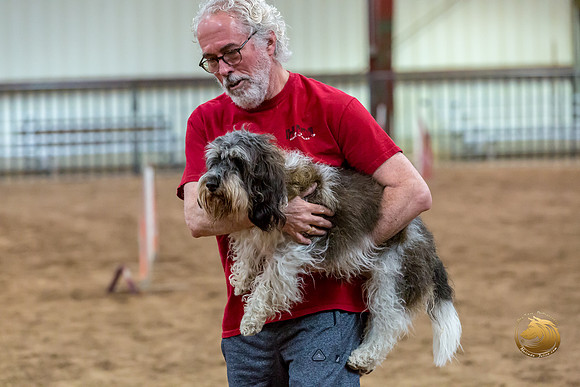 Agility JWW Nov National JaxJJJ_5000-PBGVKrvlTX2019-HR3