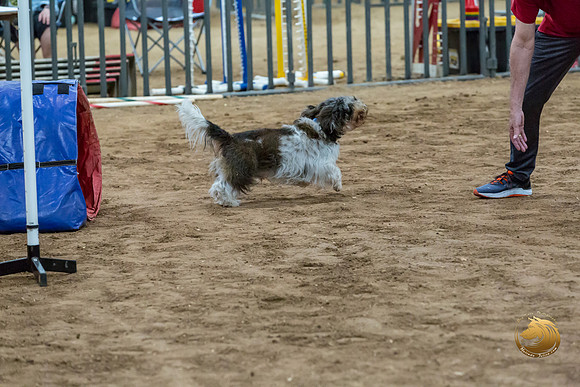 Agility JWW Nov Regional JaxJJJ_4830-PBGVKrvlTX2019-HR3