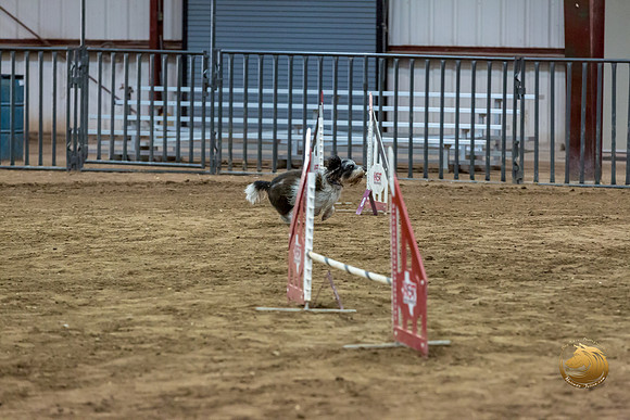 Agility JWW Nov Regional JaxJJJ_4832-PBGVKrvlTX2019-HR3