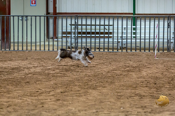 Agility JWW Nov Regional JaxJJJ_4833-PBGVKrvlTX2019-HR3