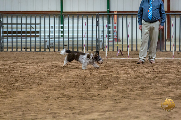 Agility JWW Nov Regional JaxJJJ_4834-PBGVKrvlTX2019-HR3