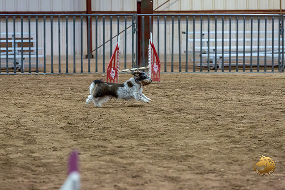 Agility JWW Nov Regional JaxJJJ_4837-PBGVKrvlTX2019-HR3