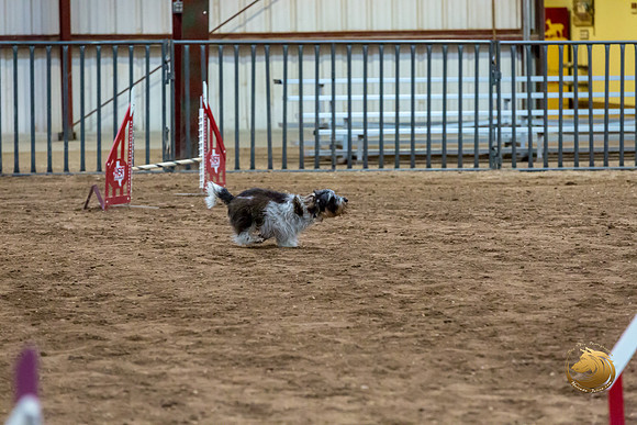 Agility JWW Nov Regional JaxJJJ_4838-PBGVKrvlTX2019-HR3