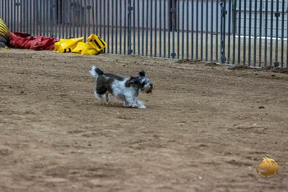 Agility JWW Nov Regional JaxJJJ_4839-PBGVKrvlTX2019-HR3
