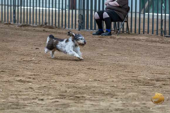 Agility JWW Nov Regional JaxJJJ_4840-PBGVKrvlTX2019-HR3
