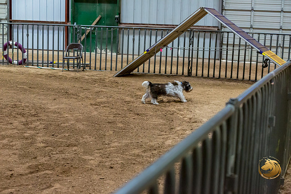 Agility JWW Nov Regional JaxJJJ_4842-PBGVKrvlTX2019-HR3