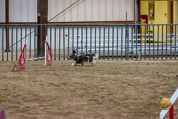 Agility JWW Nov Regional JaxJJJ_4843-PBGVKrvlTX2019-HR3