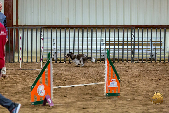 Agility JWW Nov Regional JaxJJJ_4844-PBGVKrvlTX2019-HR3