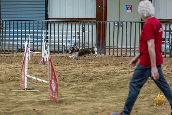 Agility JWW Nov Regional JaxJJJ_4845-PBGVKrvlTX2019-HR3