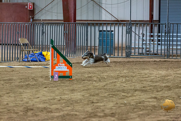 Agility JWW Nov Regional JaxJJJ_4846-PBGVKrvlTX2019-HR3