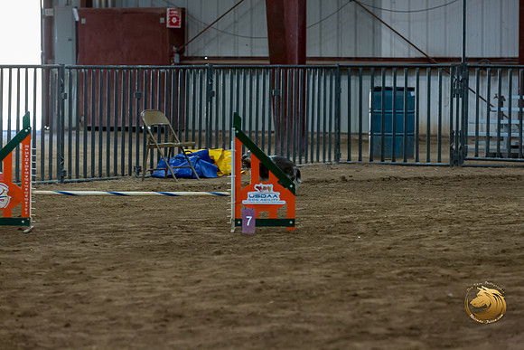 Agility JWW Nov Regional JaxJJJ_4847-PBGVKrvlTX2019-HR3