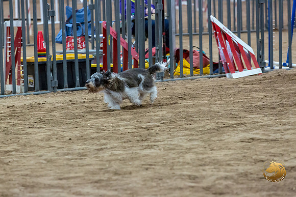 Agility JWW Nov Regional JaxJJJ_4852-PBGVKrvlTX2019-HR3