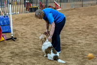 Agility JWW Open National Chloe