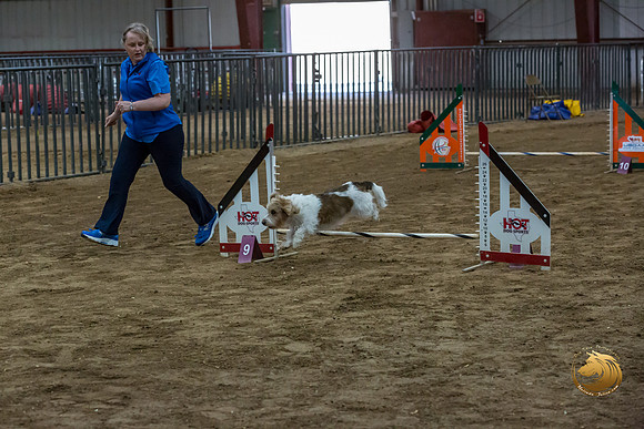 Agility JWW Open National ChloeJJJ_4700-PBGVKrvlTX2019-HR3