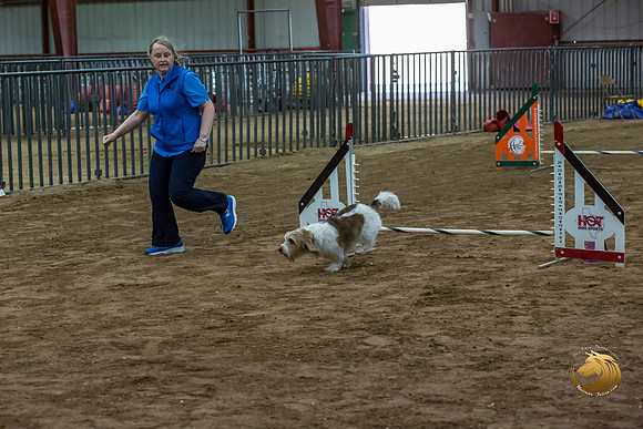 Agility JWW Open National ChloeJJJ_4701-PBGVKrvlTX2019-HR3
