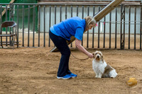 Agility JWW Open Regional Chloe