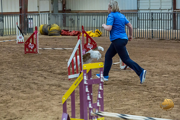 Agility JWW Open Regional ChloeJJJ_4670-PBGVKrvlTX2019-HR3