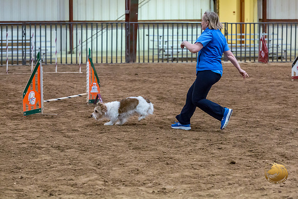 Agility JWW Open Regional ChloeJJJ_4671-PBGVKrvlTX2019-HR3