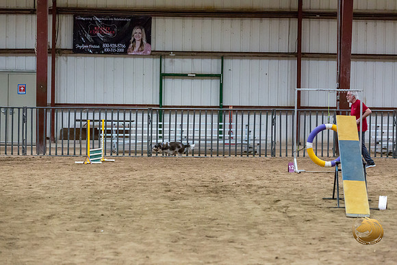 Agility Std Open National 12%22 JaxJJJ_6948-PBGVKrvlTX2019-HR3