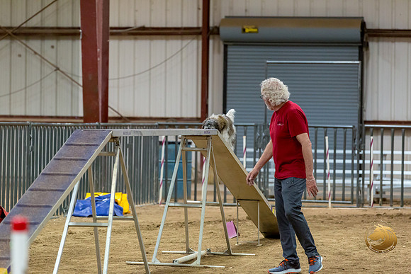 Agility Std Open National 12%22 JaxJJJ_6949-PBGVKrvlTX2019-HR3