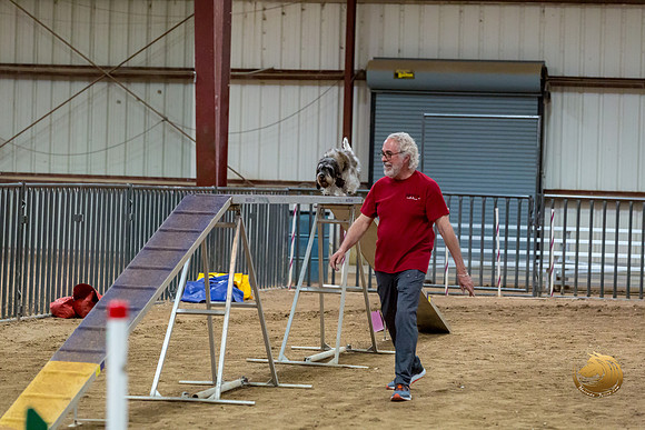Agility Std Open National 12%22 JaxJJJ_6951-PBGVKrvlTX2019-HR3