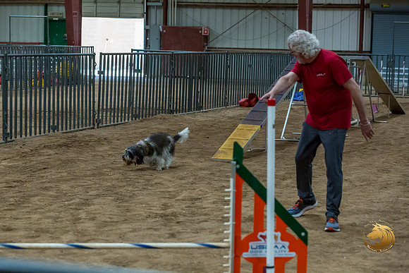 Agility Std Open National 12%22 JaxJJJ_6953-PBGVKrvlTX2019-HR3
