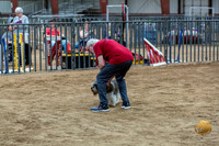 Agility T2B Regional 12" Jax