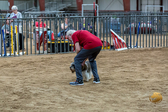 Agility T2B Regional 12%22 JaxJJJ_5343-PBGVKrvlTX2019-HR3