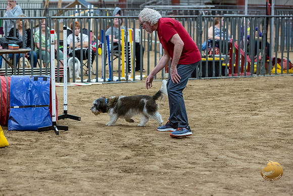 Agility T2B Regional 12%22 JaxJJJ_5348-PBGVKrvlTX2019-HR3