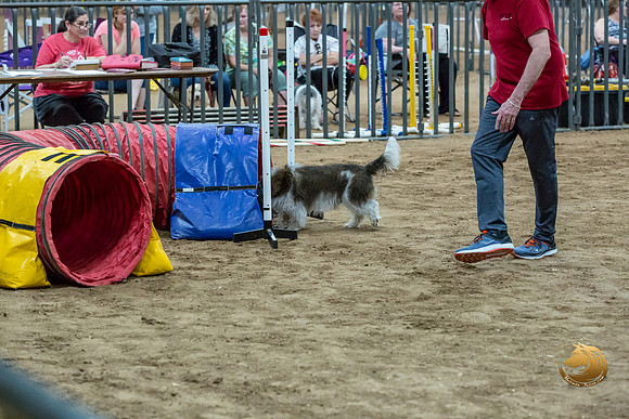 Agility T2B Regional 12%22 JaxJJJ_5350-PBGVKrvlTX2019-HR3