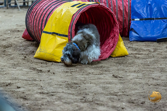 Agility T2B Regional 12%22 JaxJJJ_5353-PBGVKrvlTX2019-HR3