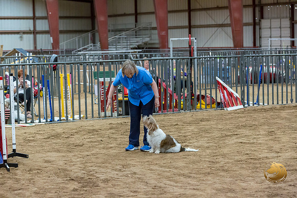 Agility T2B Regional 8%22 ChloeJJJ_5054-PBGVKrvlTX2019-HR3