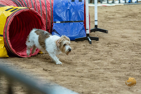 Agility T2B Regional 8%22 ChloeJJJ_5057-PBGVKrvlTX2019-HR3