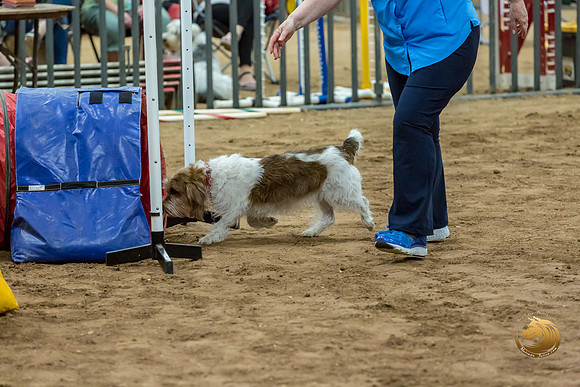 Agility T2B Regional 8%22 ChloeJJJ_5056-PBGVKrvlTX2019-HR3