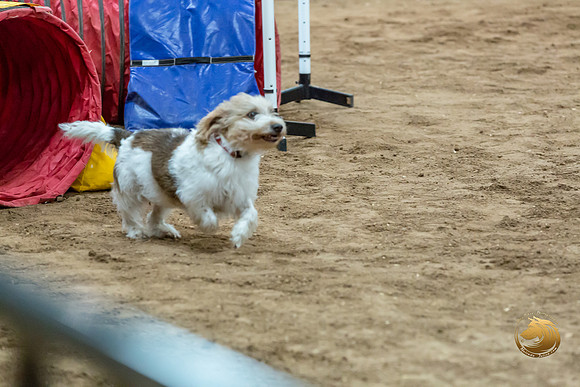 Agility T2B Regional 8%22 ChloeJJJ_5058-PBGVKrvlTX2019-HR3
