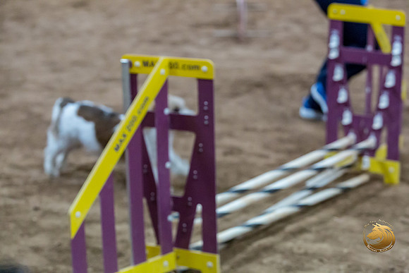 Agility T2B Regional 8%22 ChloeJJJ_5060-PBGVKrvlTX2019-HR3