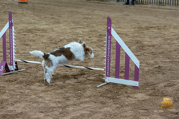 Agility T2B Regional 8%22 ChloeJJJ_5065-PBGVKrvlTX2019-HR3